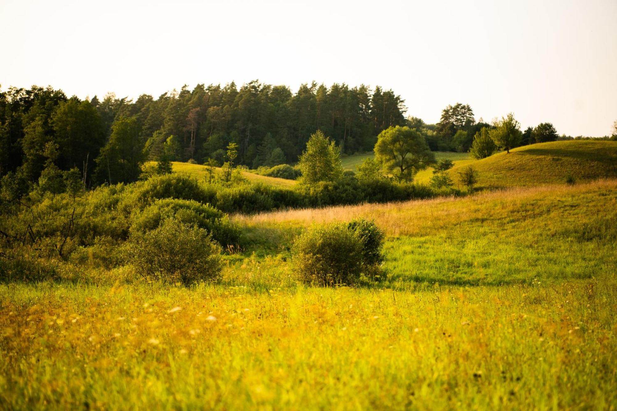 Mazurskie Chatki Mrągowo Exterior foto