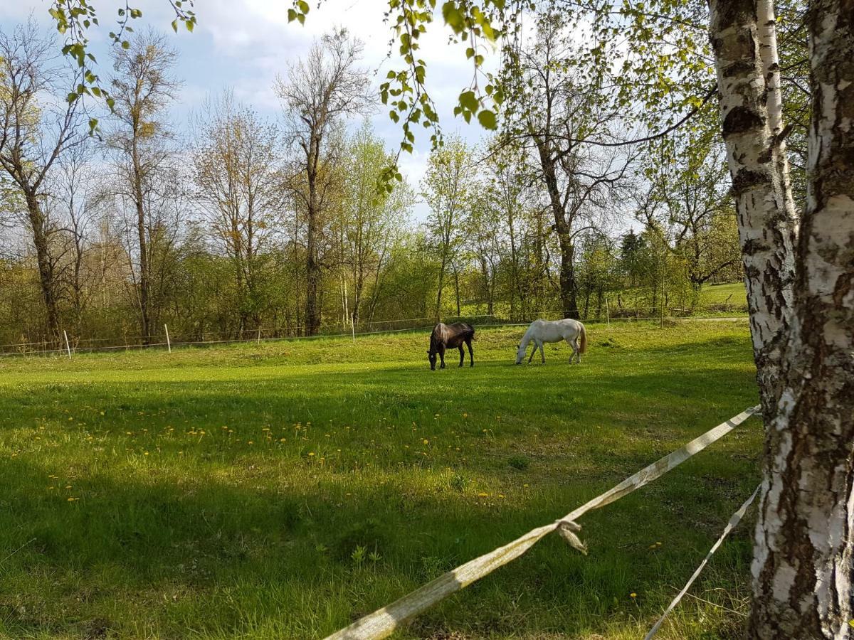 Mazurskie Chatki Mrągowo Exterior foto